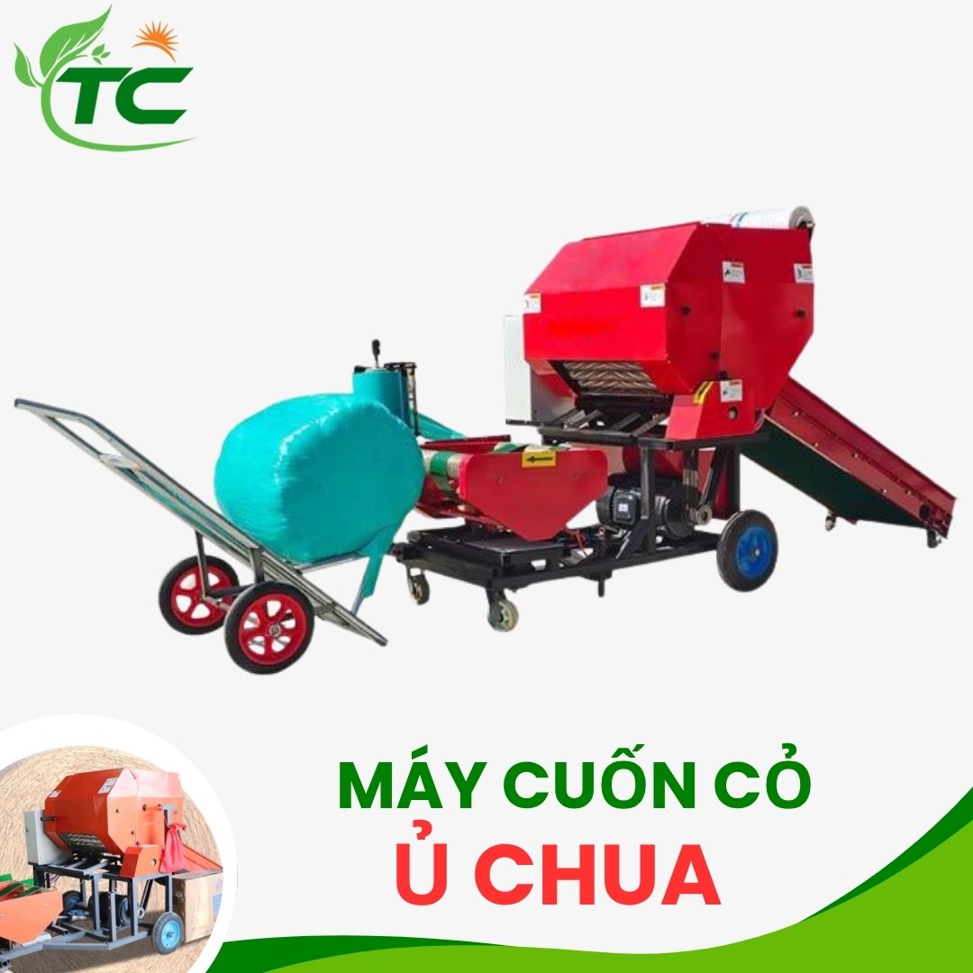 Máy cuốn cỏ ủ chua cho gia súc